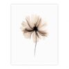 Modern Minimalist Flower Wall Art